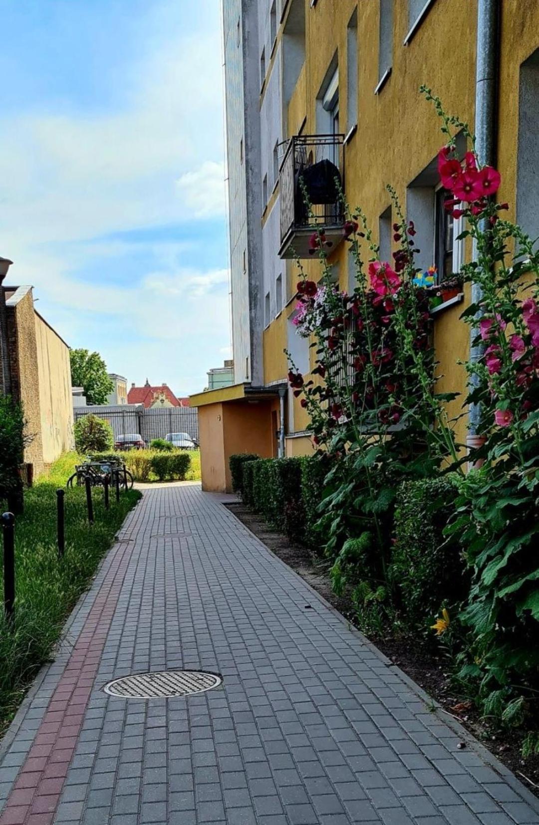 Apartament Przy Alei Kopernika Inowrocław Exteriör bild